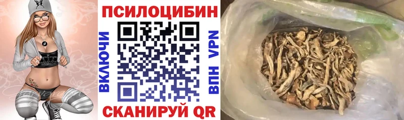 Галлюциногенные грибы Psilocybe  Арсеньев 